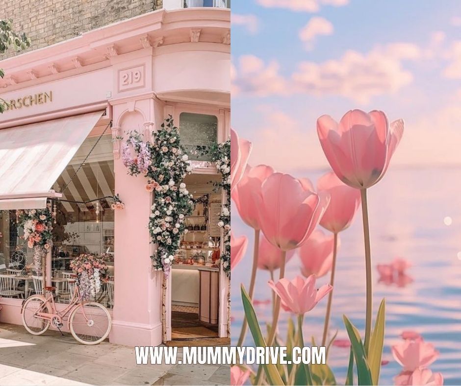 170+ PINK AESTHETICS POSTS + STORIES | MRR |MOCK UPS