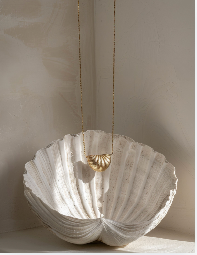 COASTAL VIBES STOCK IMAGERY COLLECTION